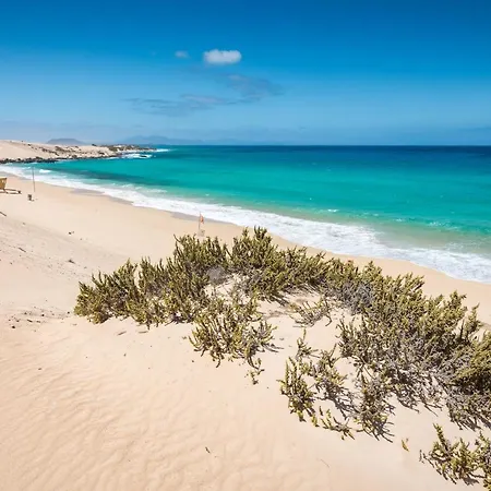 Διαμέρισμα Home2book Charming Piedra Playa, Terrace *