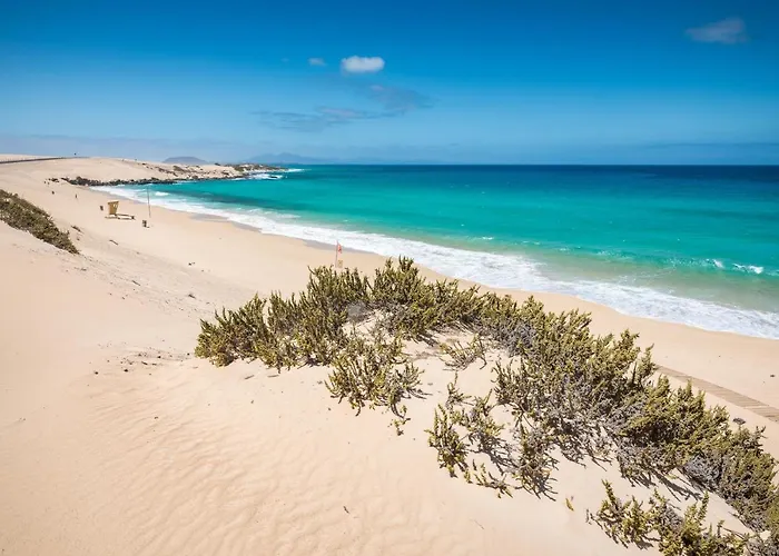 Διαμέρισμα Home2book Charming Piedra Playa, Terrace *